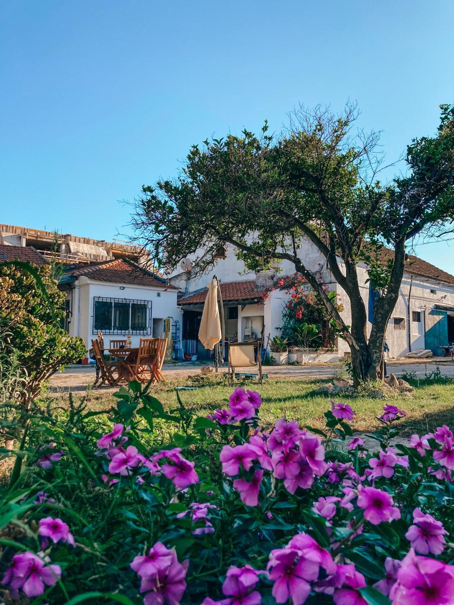 Montijo Garden - Private Rooms Экстерьер фото