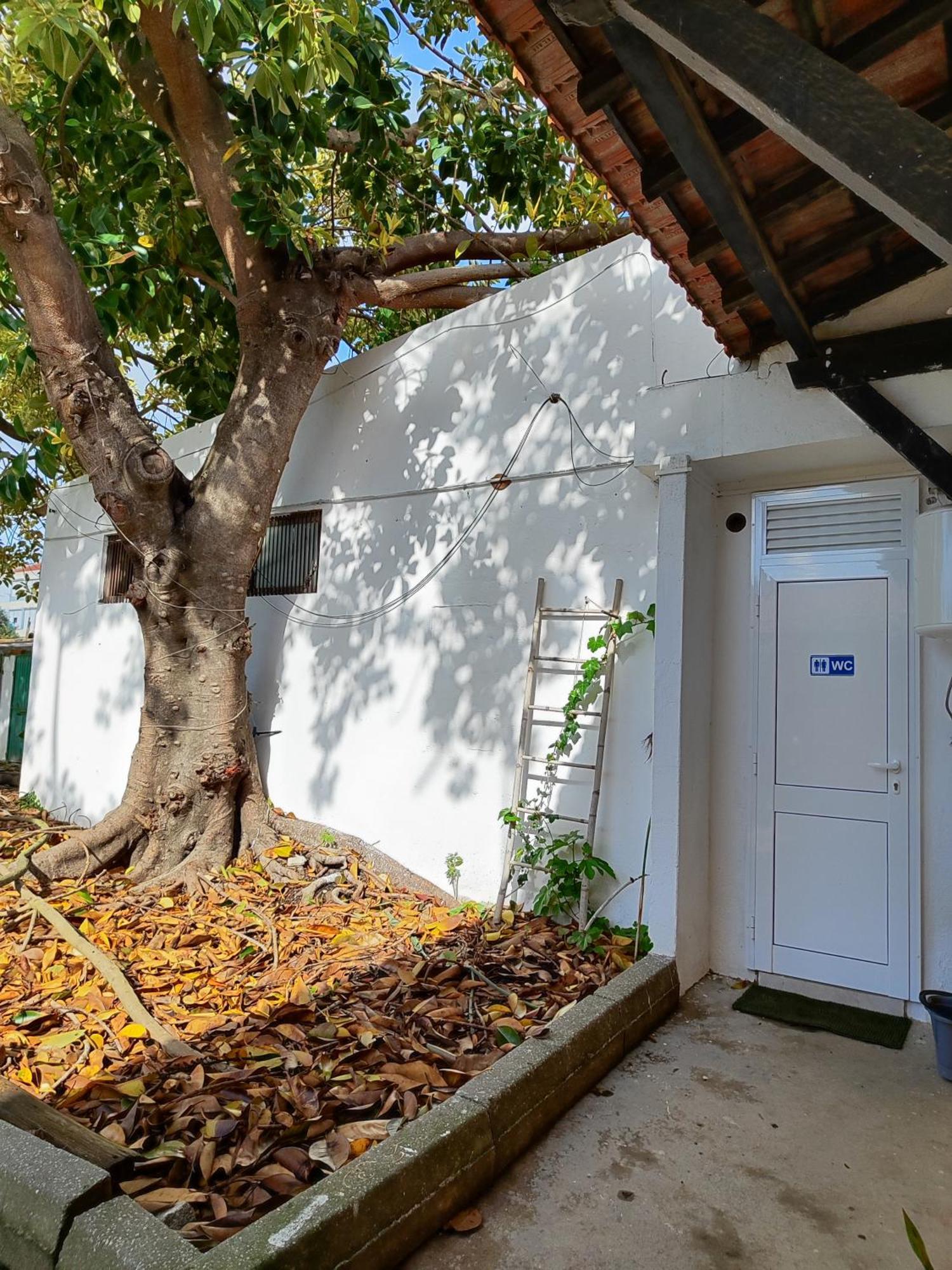 Montijo Garden - Private Rooms Экстерьер фото